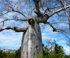 Viaggio di nozze organizzato da Elyros Viaggi