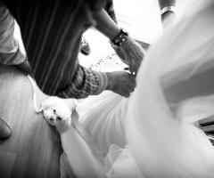 Preparazione in compagnia del migliore amico - WhiteLoopStudio