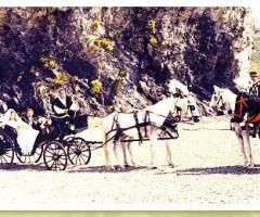 Noleggio carrozze per matrimoni