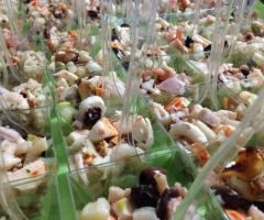 Antipasti per rinfresco