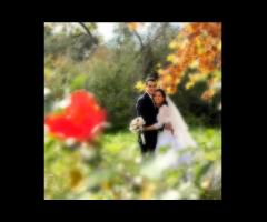 Sergio Milone Fotografo - Sposi immersi nel verde