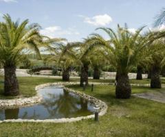 Giardini Venusio - Giardino della location di nozze a Matera