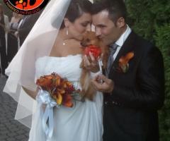 JMD Professionisti al vostro servizio