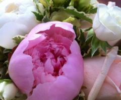 Vivaio Nicola Antonio Giraudi - Un romantico bouquet di peonie