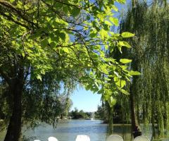 Corte Glam - Scorcio su lago dorato interno alla location