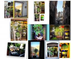 Collage - Alberoantico Bonsai Roma