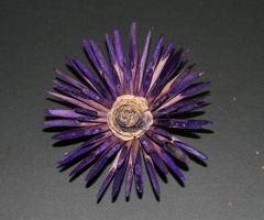 Fiore particolare per gli addobbi floreali per il matrimonio