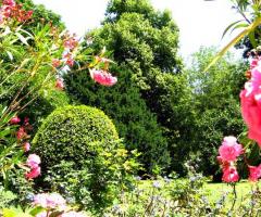 Meravigliosi fiori dai colori variopinti nei pressi della Villa Casalini