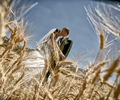 Servizio fotografico per il matrimonio di Alessio Franchi