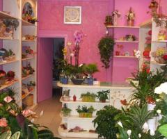 Sede di Fioreria L'Erbavoglio