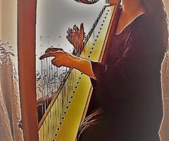 VoceDAnimA - L'arpa celtica in tutto il suo splendore...