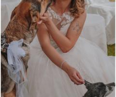 Canaglie da Matrimonio - Le tue Wedding Dog Sisters a Siena