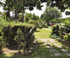 Ricevimento di nozze in giardino