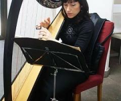 Duo con arpa celtica per il matrimonio