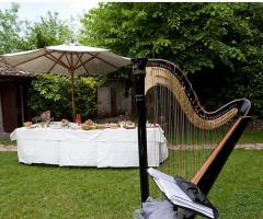 Arpa per la musica durante il ricevimento