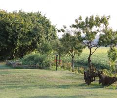 Giardino con alberi secolari