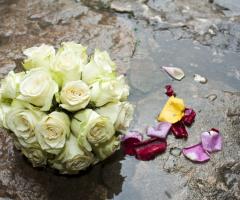 Petali fortunati - Marina Cappai Studio Fotografico Professionale