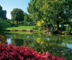 Suggestivi dettagli del parco per il matrimonio