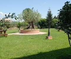 Dettaglio del giardino dell'agriturismo per matrimoni