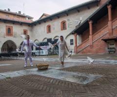 Via libera ai colombi