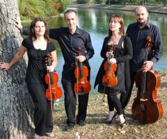 Suoni ed Emozioni - Quartetto di musicisti a Modena