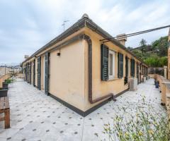 Terrazza Bonsai - Terrazza