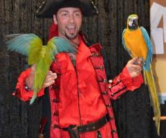 Spettacoli con pappagalli al matrimonio