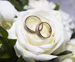 Le fedi nuziali