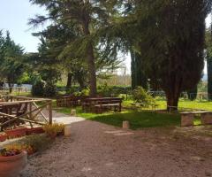 Il Moro Country House - Il giardino