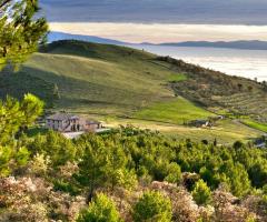 Il panorama all'esterno