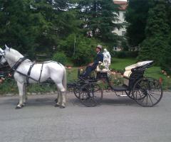 Azienda Marocco - Noleggio di carrozza e cavalli per matrimoni