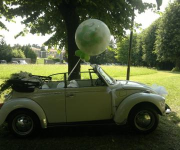 Old Beetle Eventi - Noleggio auto d'epoca