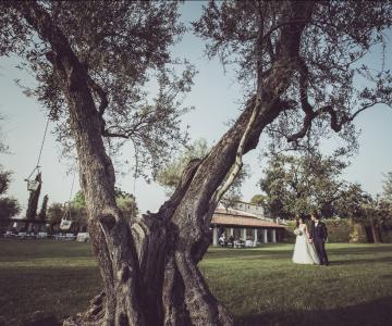 V. e G. Creazioni Visive