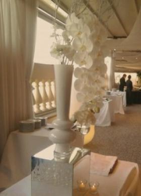 Orchidee bianche per il ricevimento di matrimonio