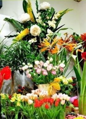 Fiori recisi per gli addobbi delle nozze