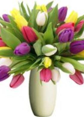 Bouquet tulipani colorati