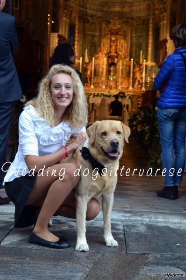 Theo ed io - Wedding dogsittervarese