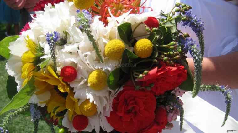 Fiori freschi
