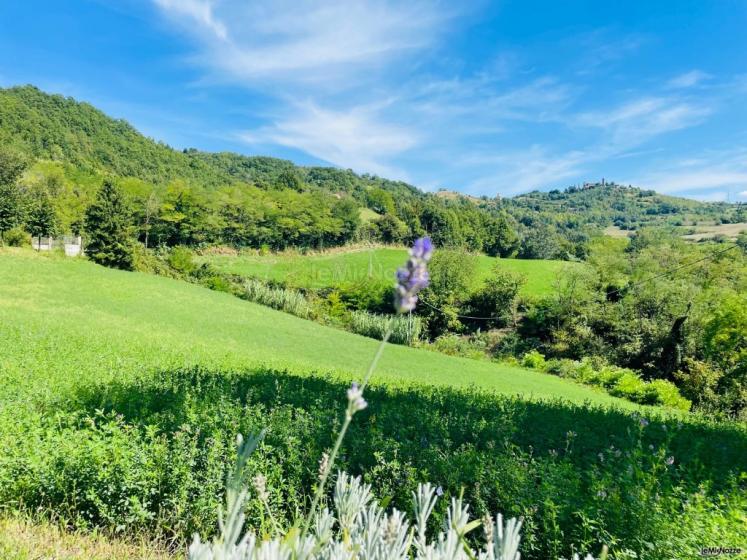 Tenuta San Lorenzo 7