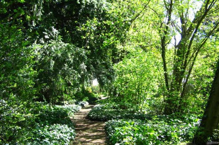 Il piccolo bosco che volge cerso la Villa Casalini