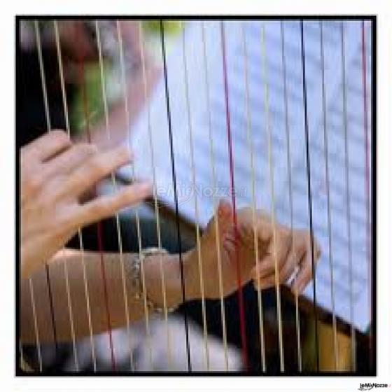 Musica di arpa per il matrimonio