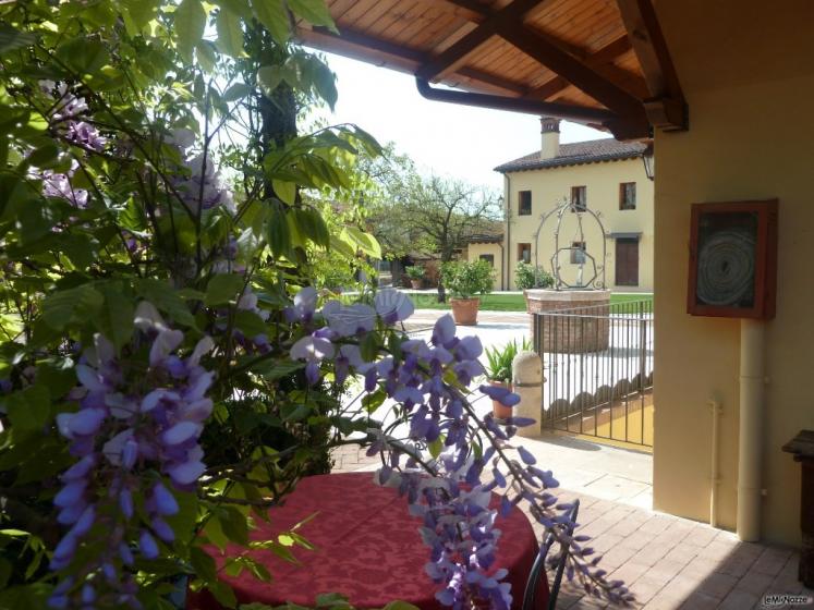 Dettaglio del giardino