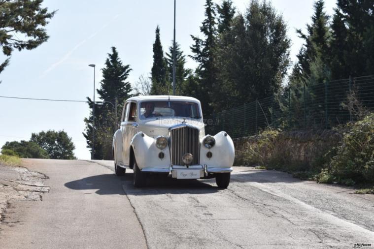 Autonoleggio Il Maggiolino - Il fascino della Bentley