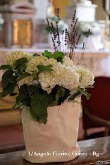 Ortensie. Matrimonio con piante.
 - L'angolo Fiorito
