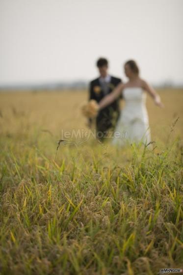 foto matrimonio gattinara vercelli novara