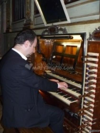 Antico organo