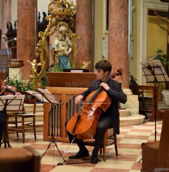 Bouquet Quartet - Violoncellista in azione