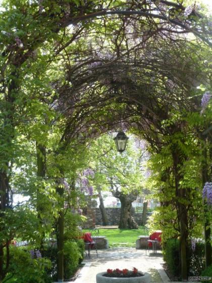 Arco con glicine in fiore
