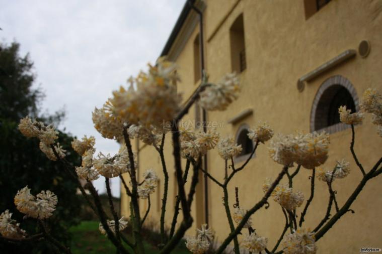 Facciata principale del salone di Villa Abbazia di Busco