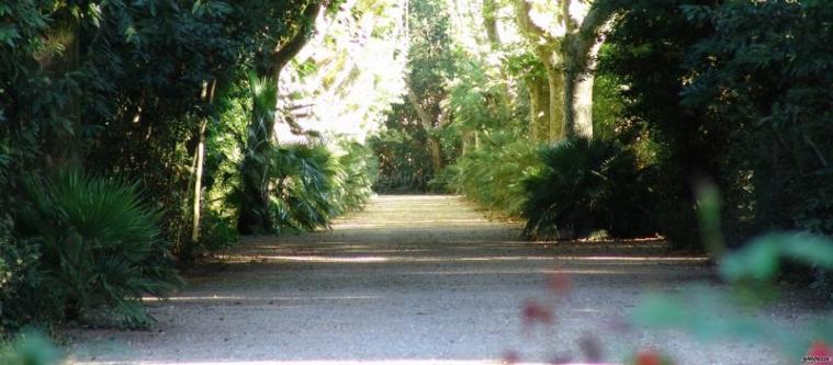 Ingresso alberato a Villa Orlando